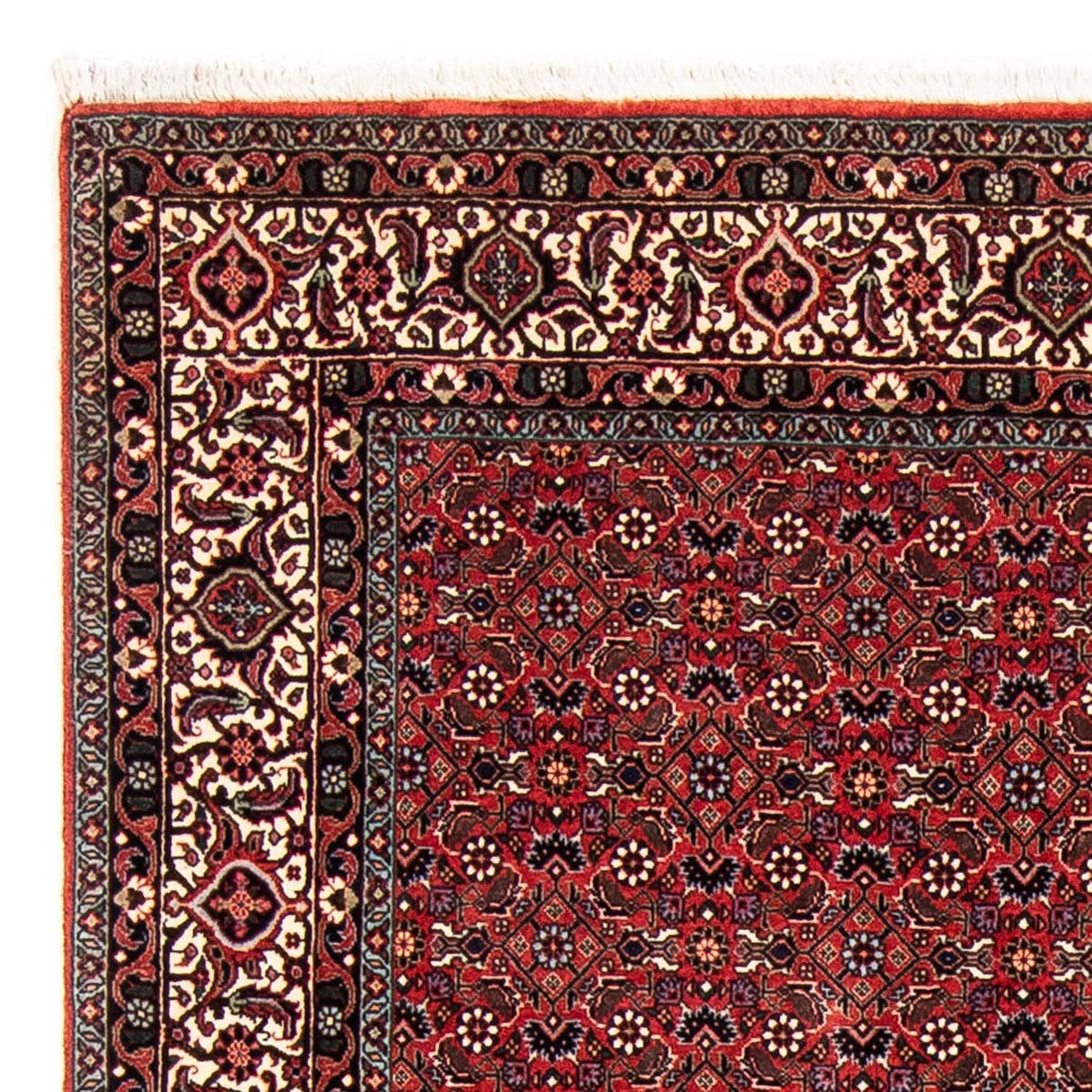 Tapis persan - Bidjar - 243 x 173 cm - rouge foncé