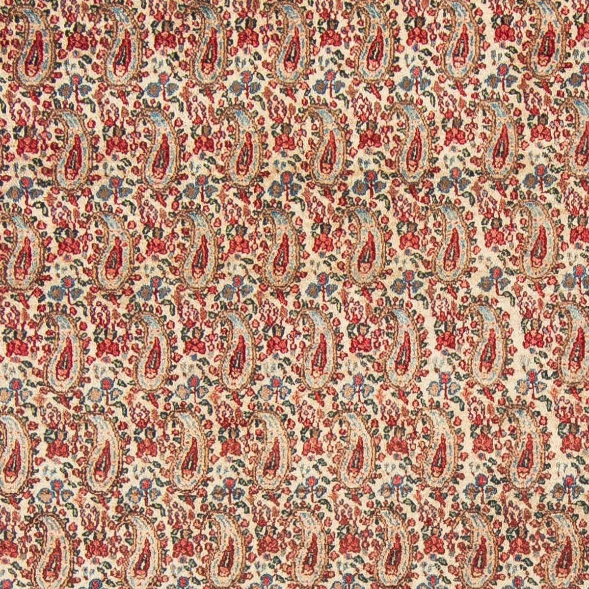 Tapis persan - Royal - 307 x 205 cm - beige