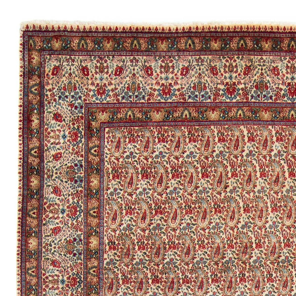 Rafsanjan Tapis 205x307cm - Tapis persan