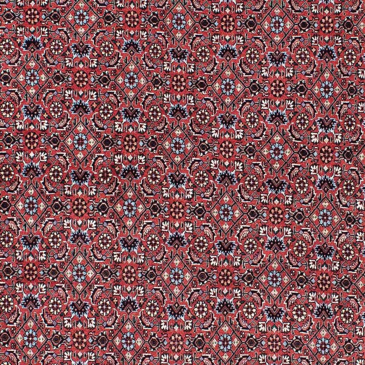 Tapis persan - Bidjar - 213 x 133 cm - rouge clair