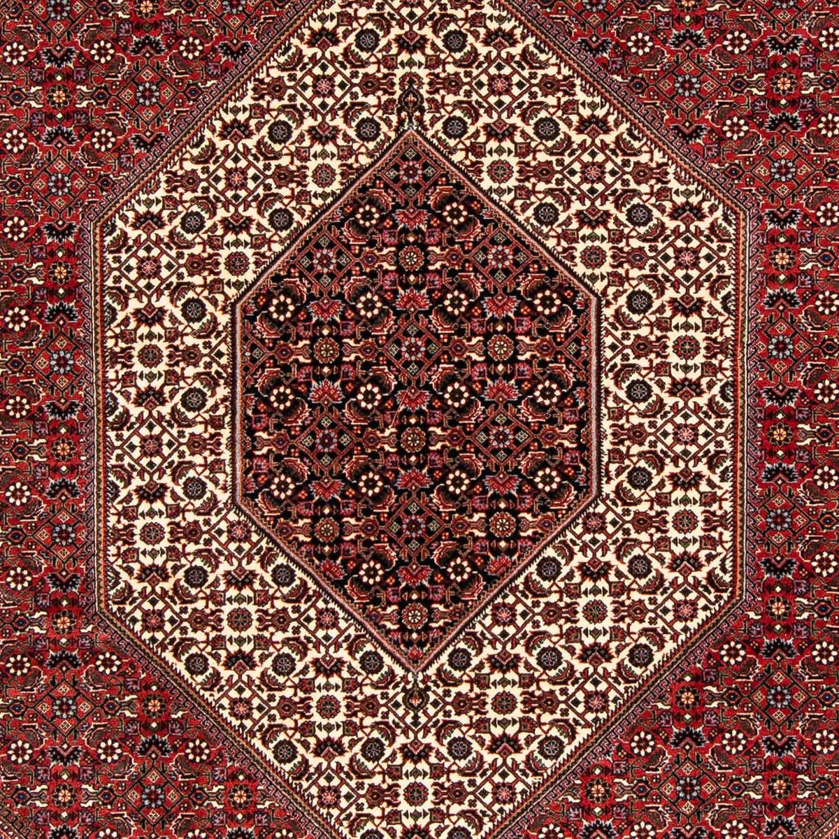 Tapis persan - Bidjar - 238 x 175 cm - rouge foncé