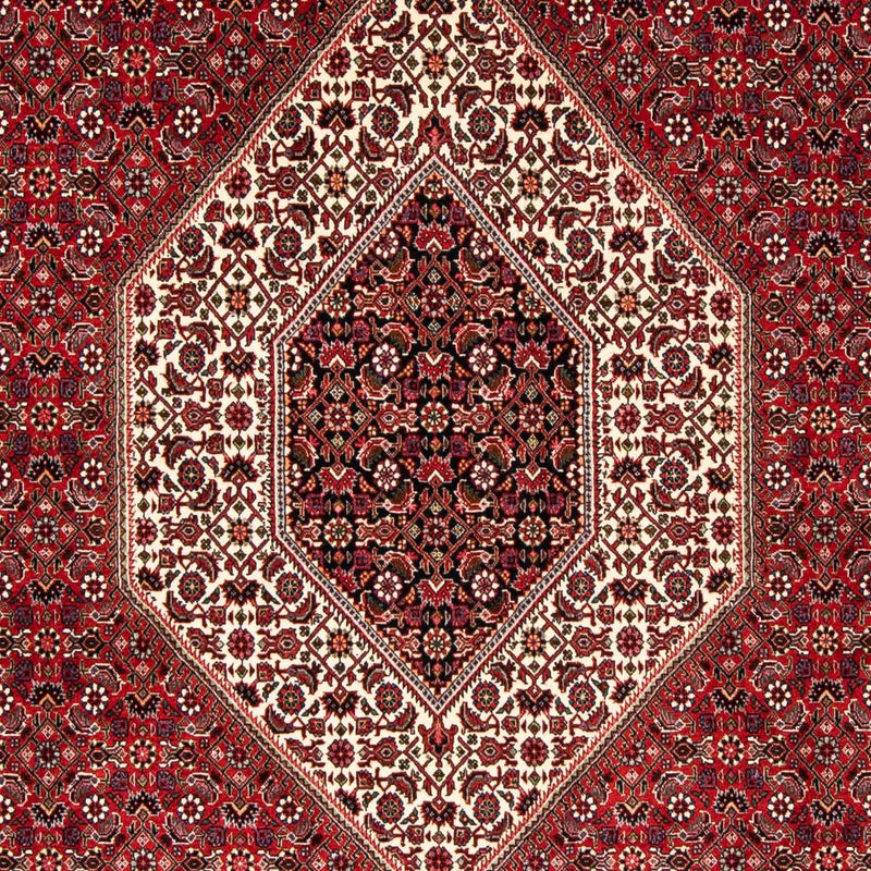 Tapis persan - Bidjar - 246 x 170 cm - rouge foncé