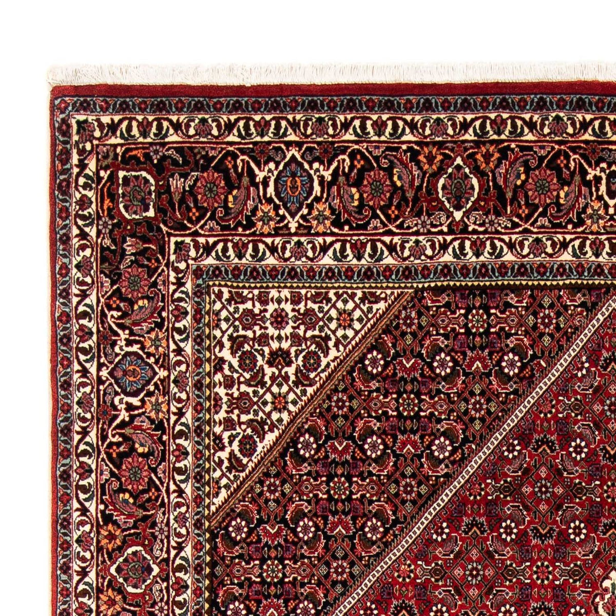 Tapis persan - Bidjar - 246 x 170 cm - rouge foncé