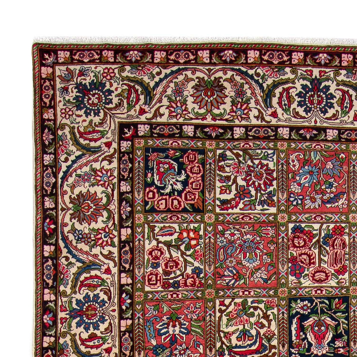 Tapis Bakhtiari Tapis 260x355cm - Tapis persan