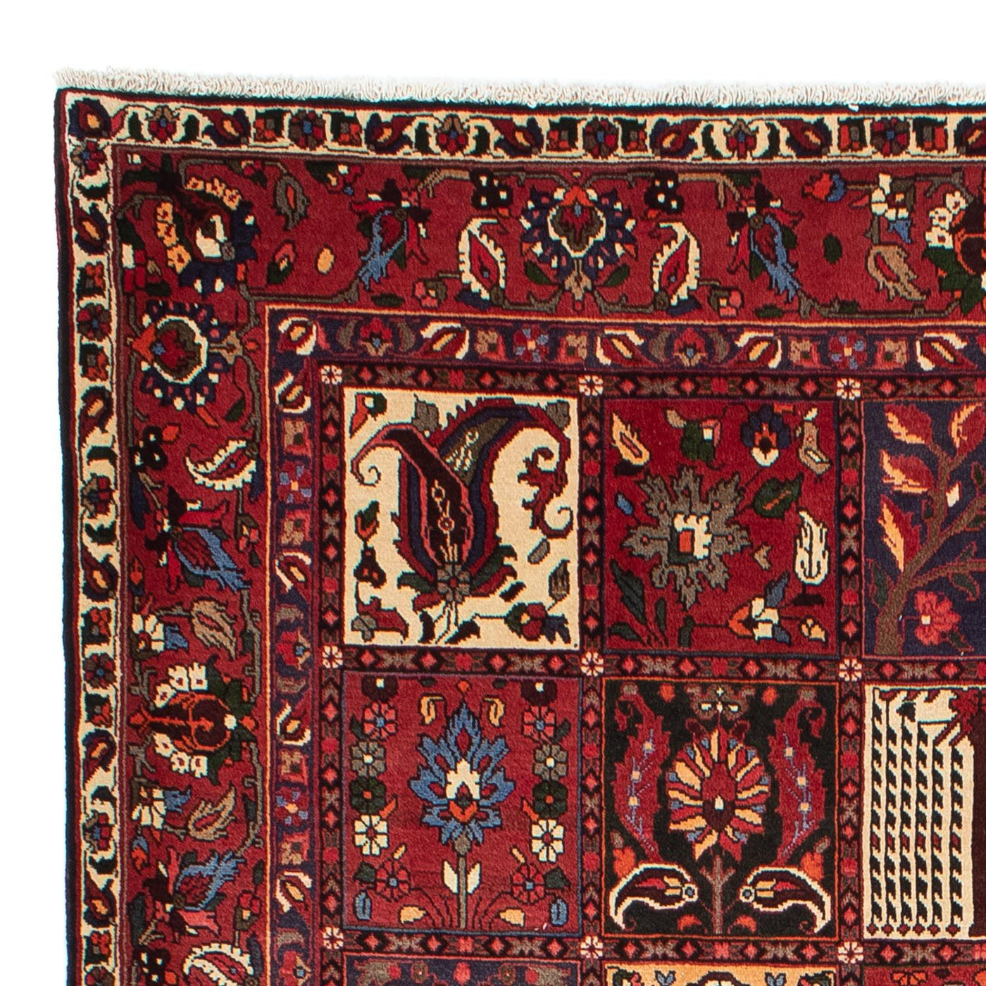 Tapis Bakhtiari Tapis 310x210cm - Tapis persan