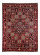 Tapis Bakhtiari Tapis 257x360cm - Tapis persan