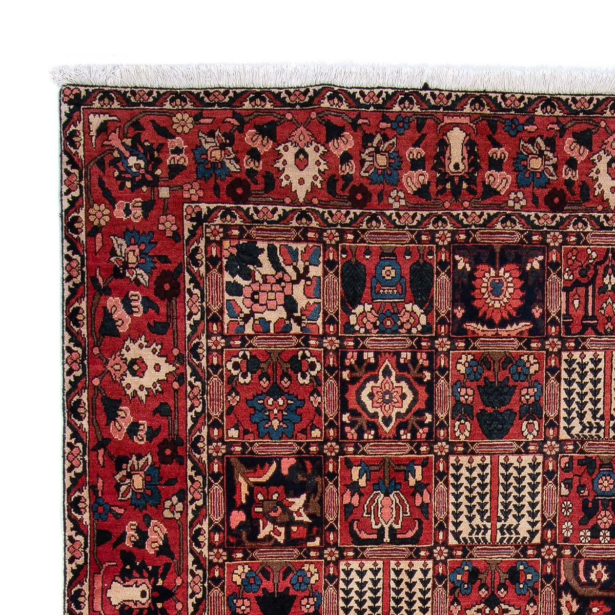 Tapis persan - Nomadic - 360 x 257 cm - rouge foncé