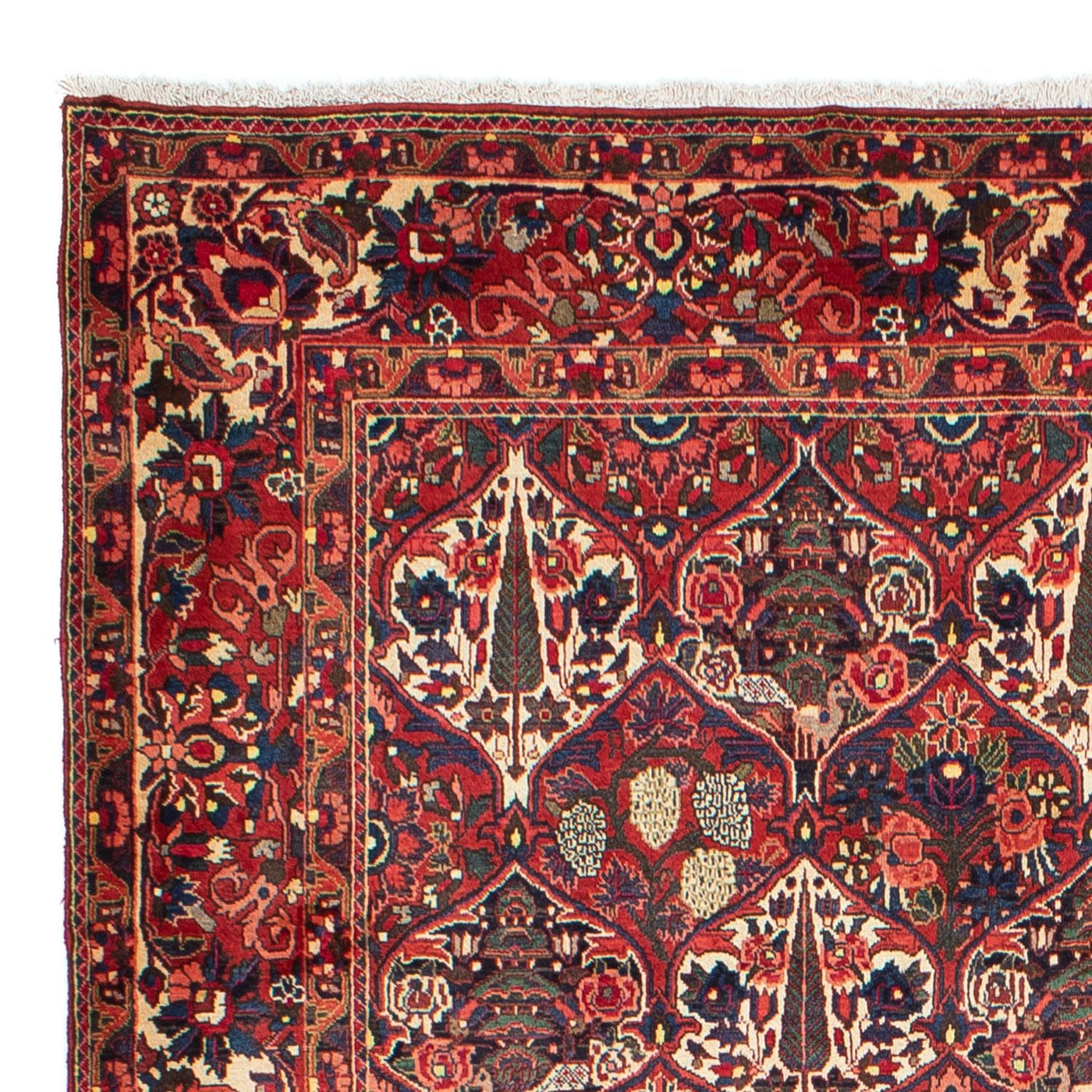 Tapis Bakhtiari Tapis 323x210cm - Tapis persan