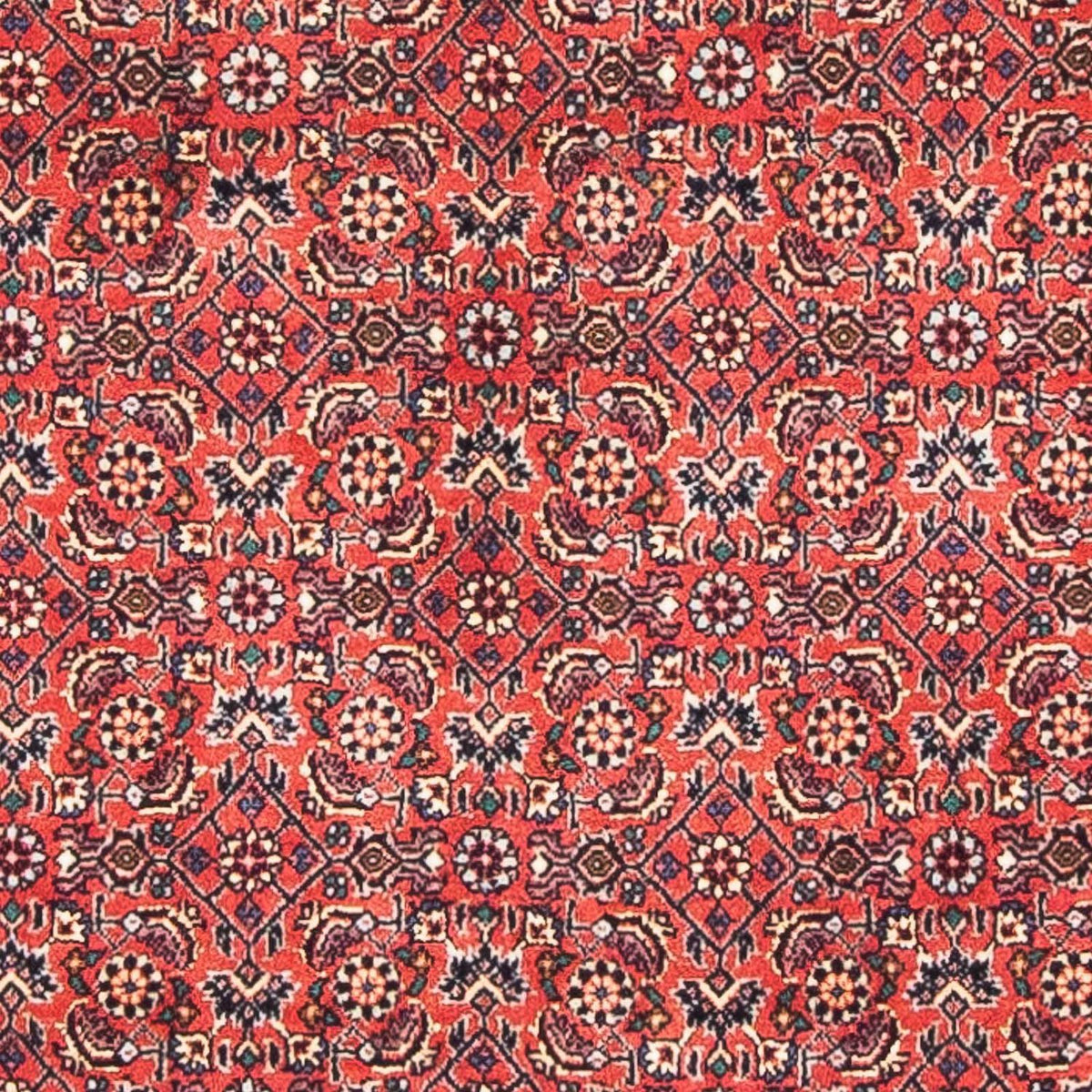 Tapis persan - Bidjar - 138 x 84 cm - rouge