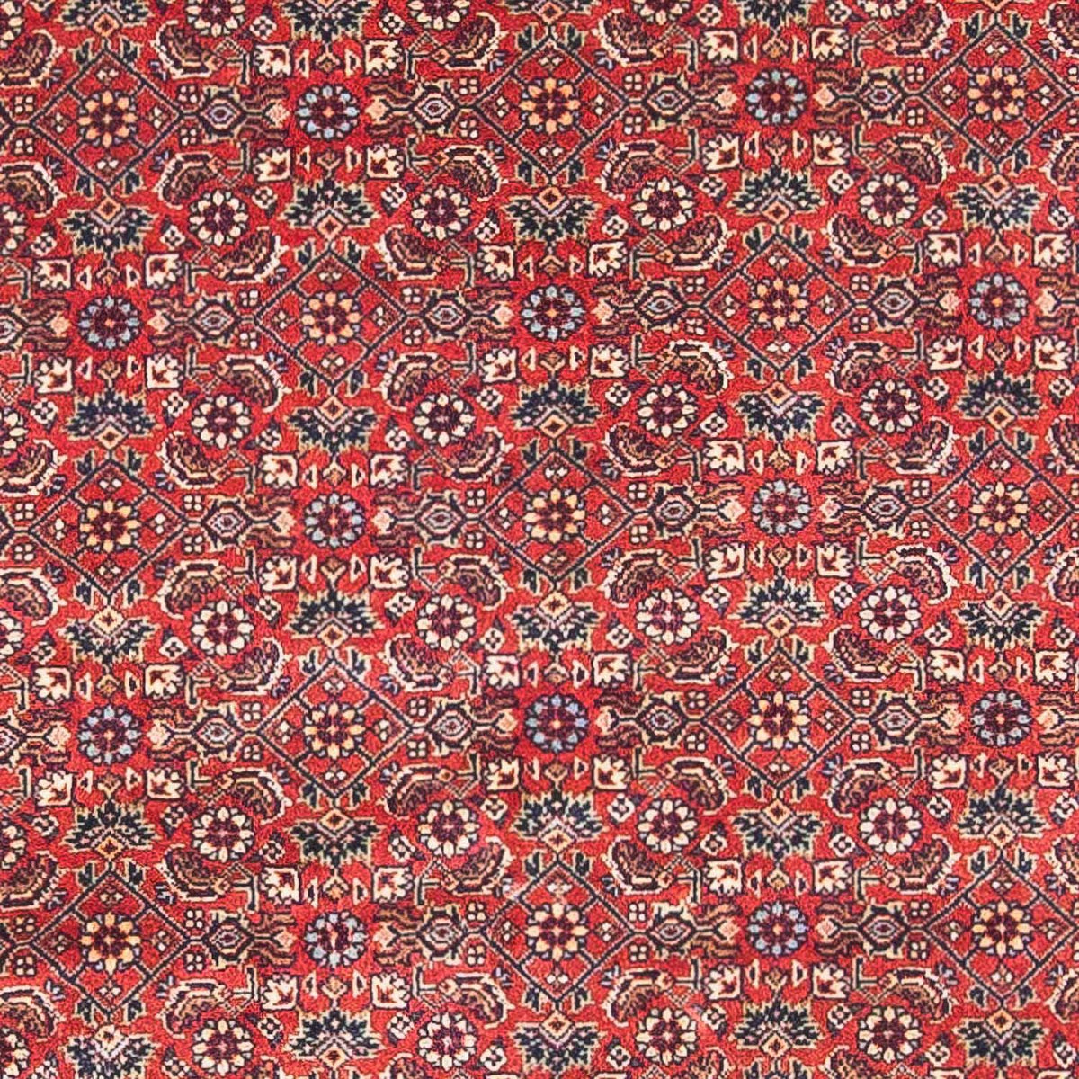 Tapis persan - Bidjar - 162 x 89 cm - rouge