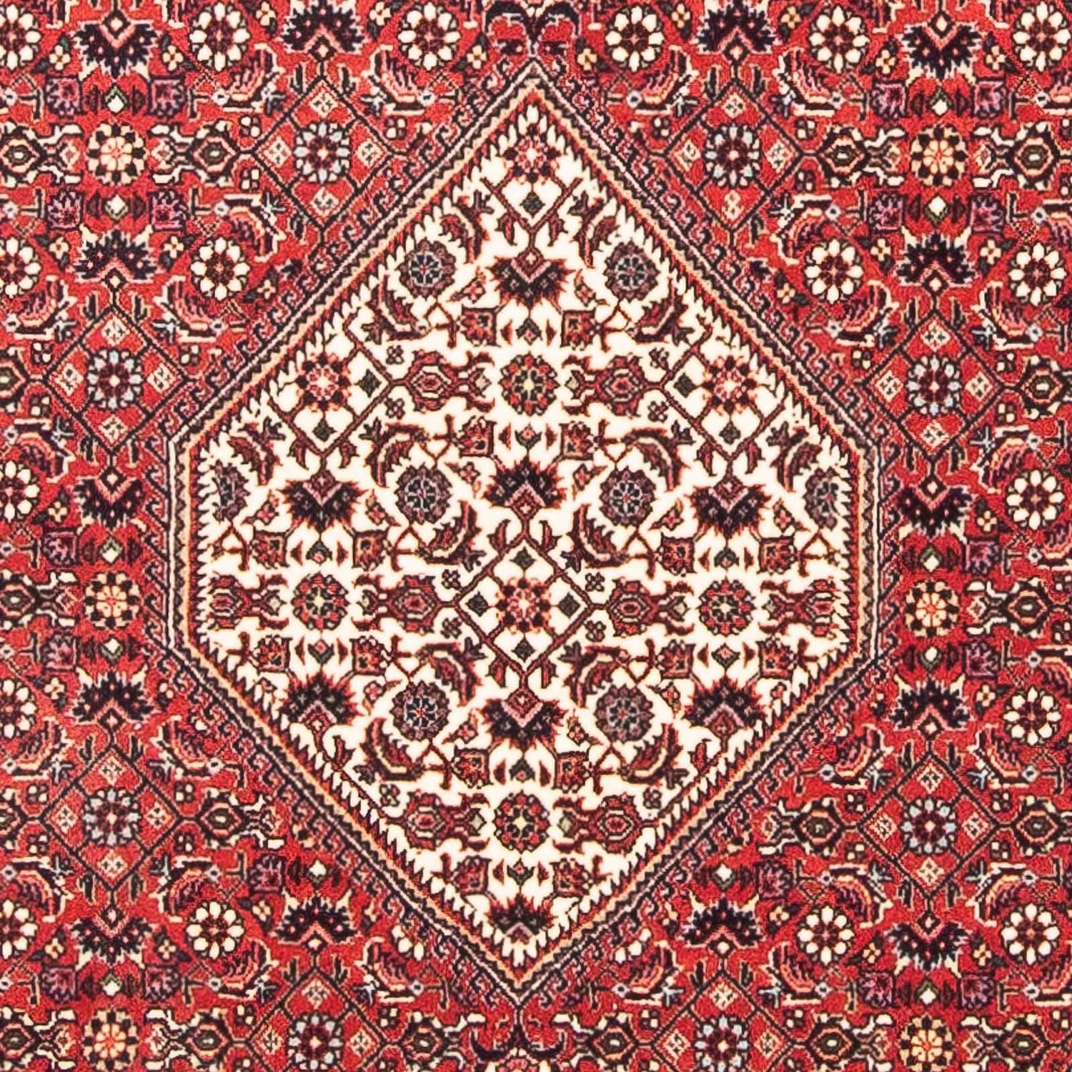 Tapis persan - Bidjar carré  - 112 x 100 cm - rouge