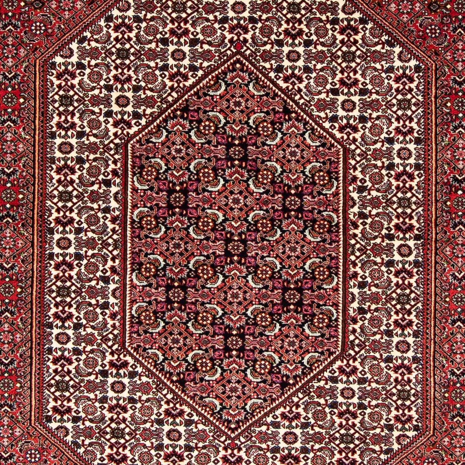 Tapis persan - Bidjar - 255 x 153 cm - rouge foncé
