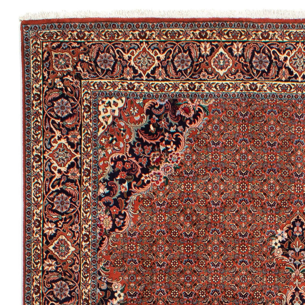 Tapis de Bidjar Tapis 203x298cm - Tapis persan