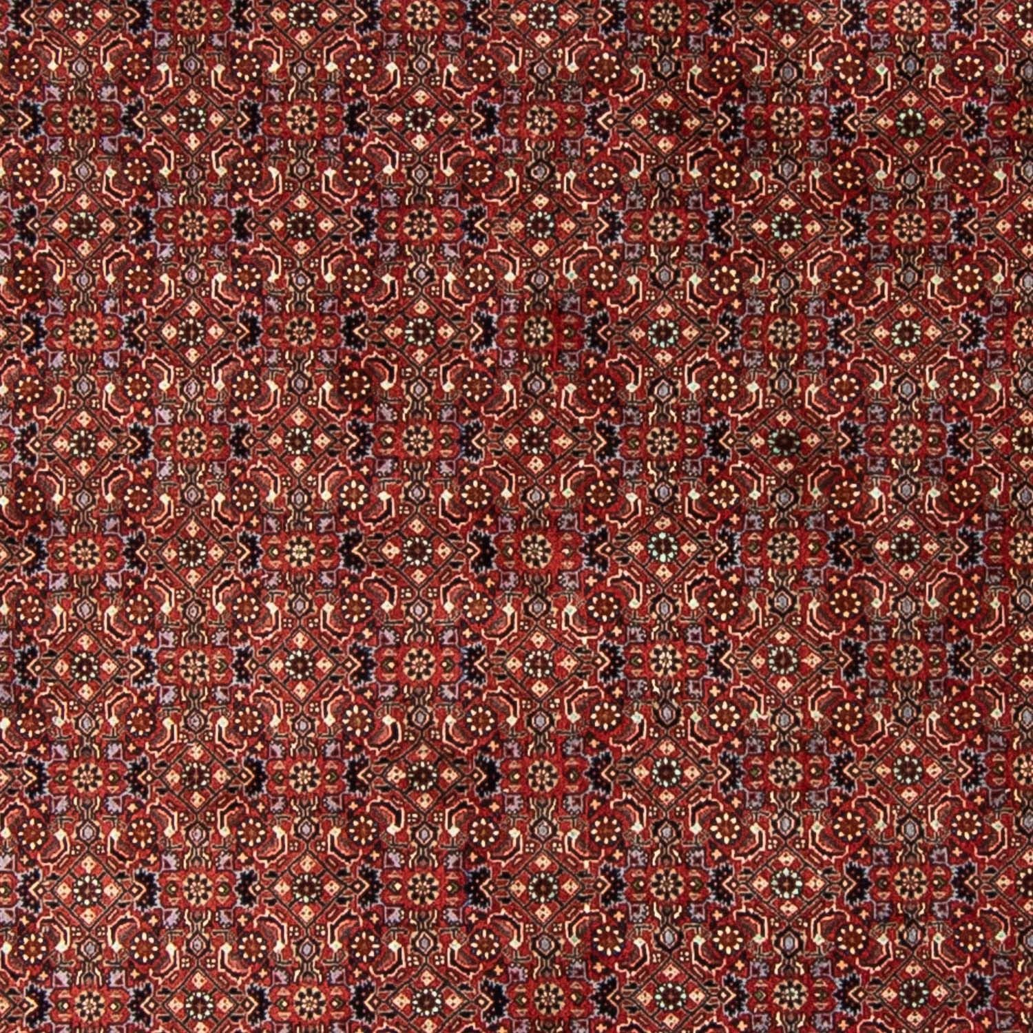 Tapis persan - Bidjar ronde  - 250 x 250 cm - rouge foncé