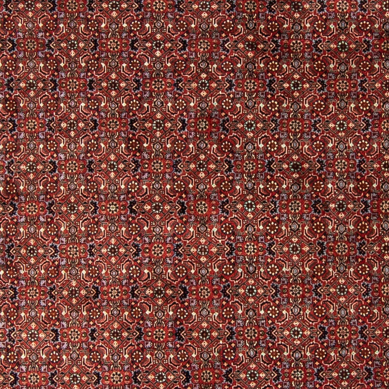 Tapis persan - Bidjar ronde  - 250 x 250 cm - rouge foncé