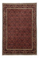 Tapis de Bidjar Tapis 172x246cm - Tapis persan