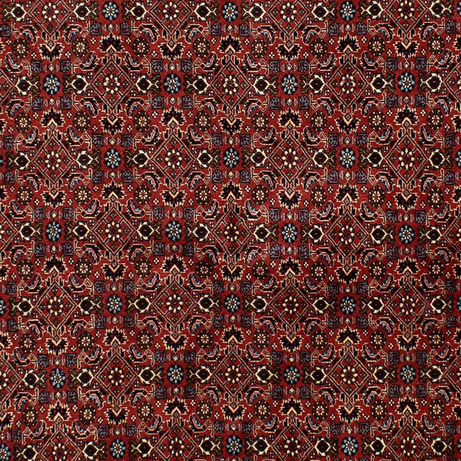 Tapis persan - Bidjar - 246 x 172 cm - rouge foncé