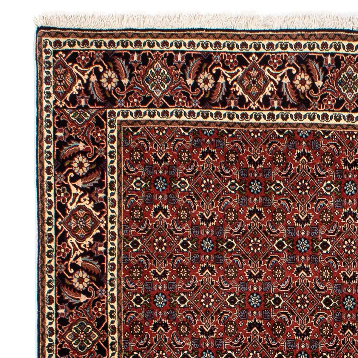 Tapis persan - Bidjar - 246 x 172 cm - rouge foncé
