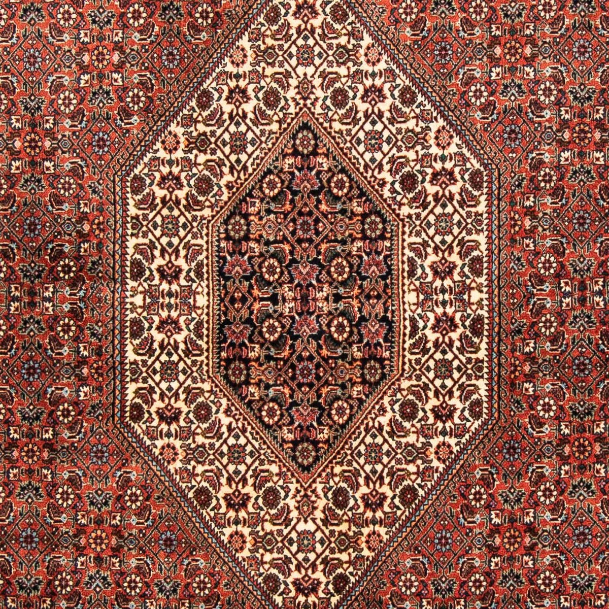Tapis persan - Bidjar - 252 x 150 cm - rouge