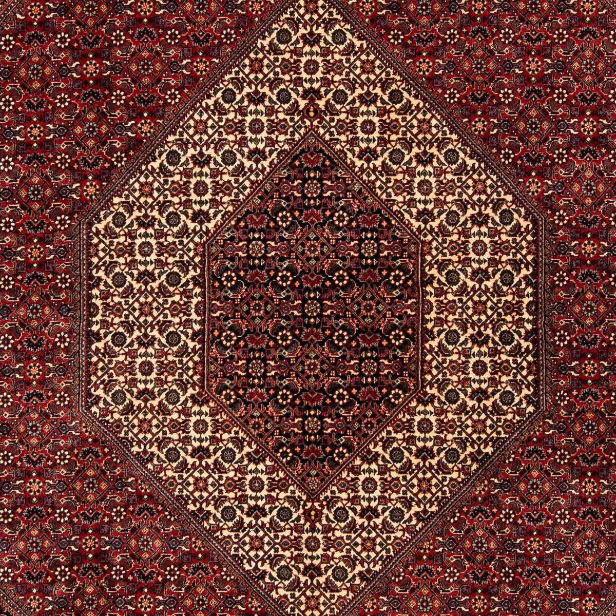 Tapis persan - Bidjar - 254 x 204 cm - rouge foncé