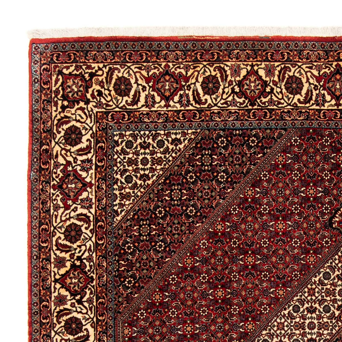 Tapis persan - Bidjar - 254 x 204 cm - rouge foncé