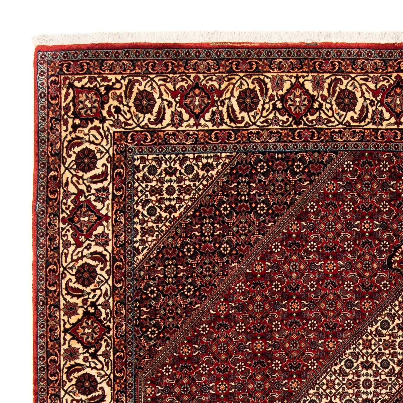 Tapis de Bidjar Tapis 254x204cm - Tapis persan