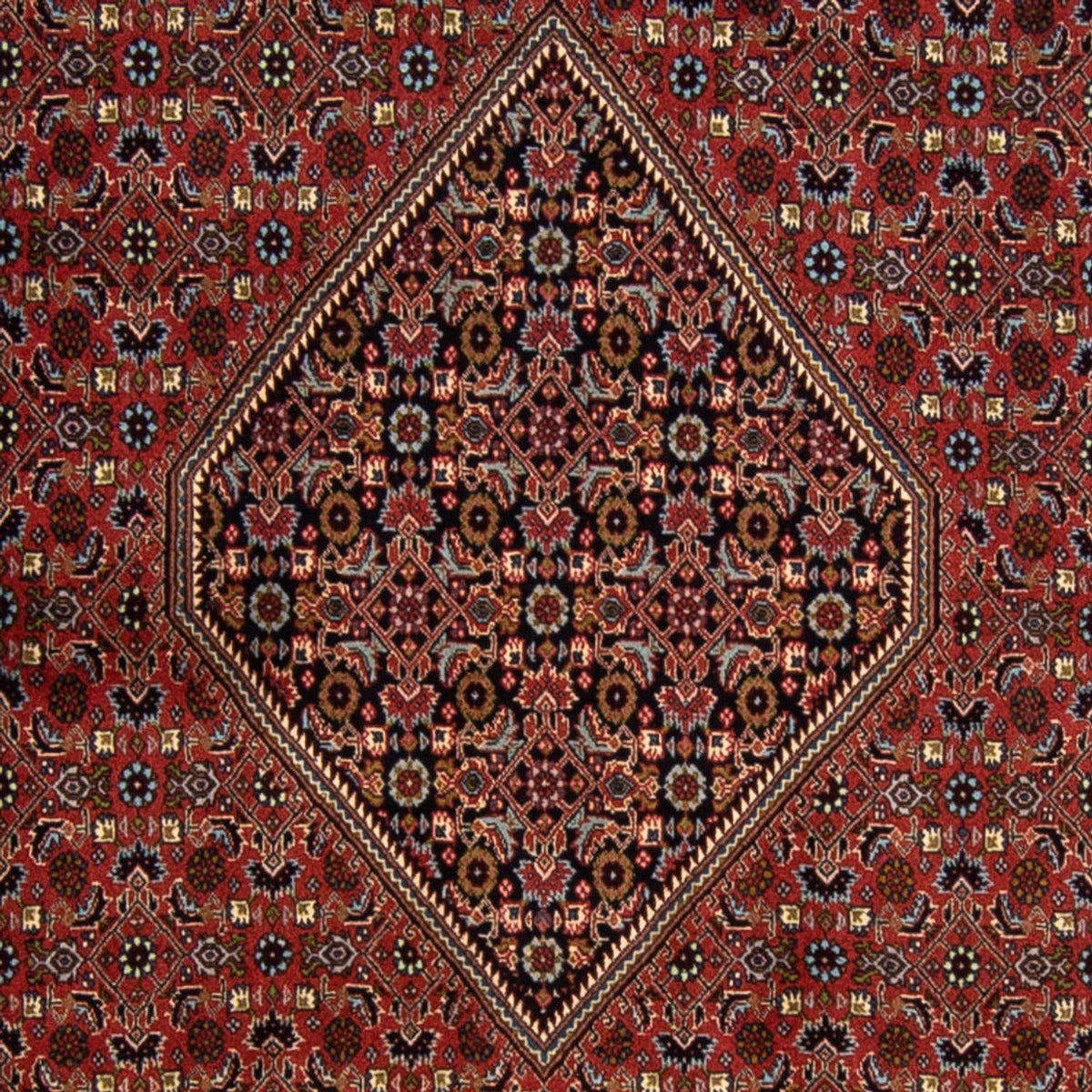 Tapis persan - Bidjar - 337 x 250 cm - rouge foncé