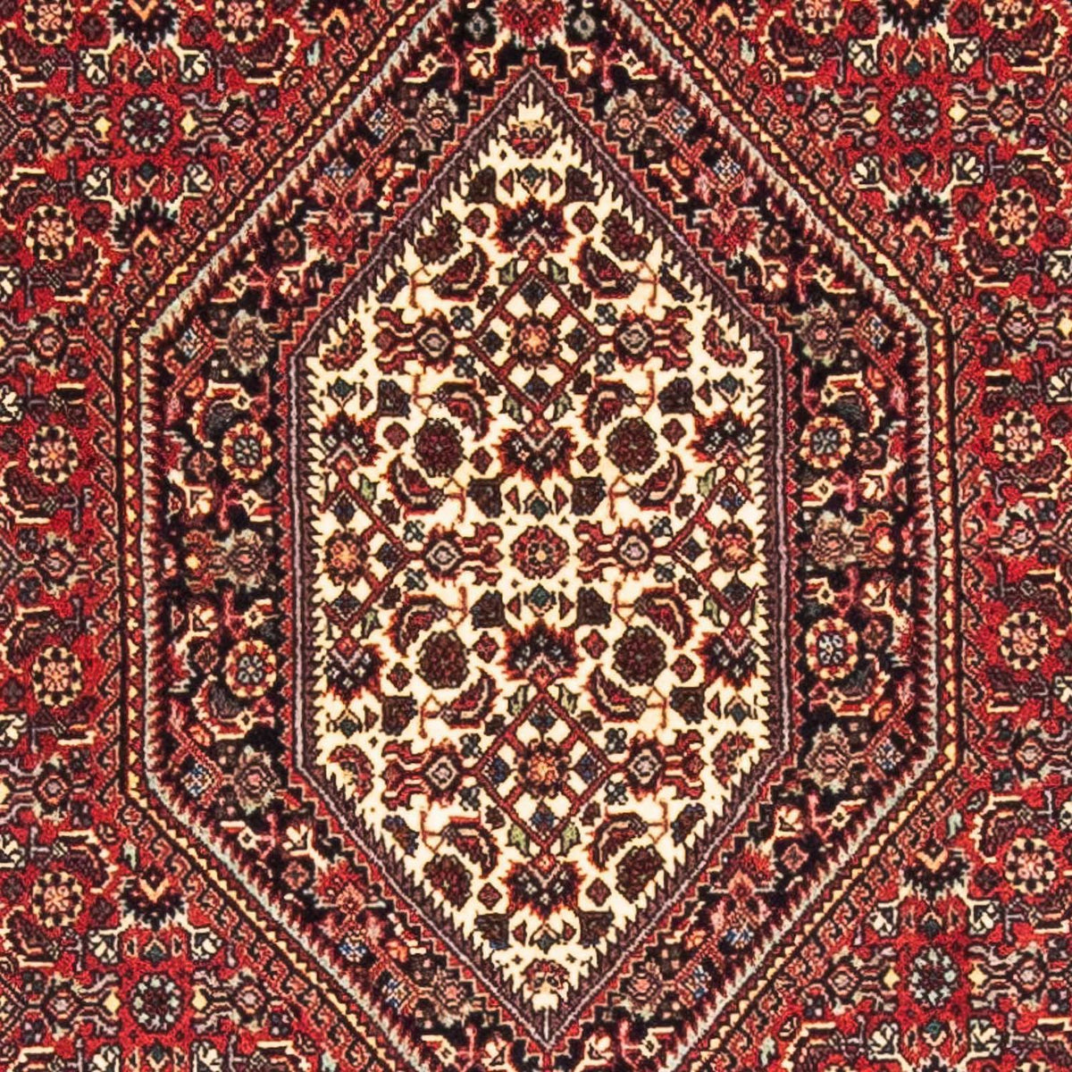 Tapis persan - Bidjar - 153 x 89 cm - rouge