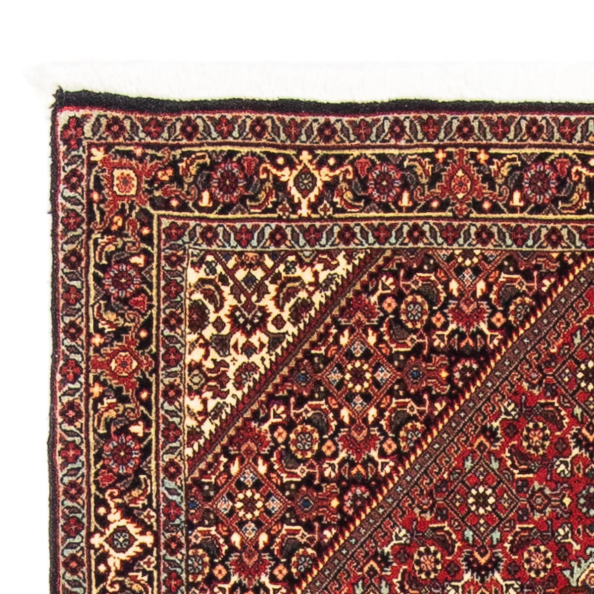 Tapis de Bidjar Tapis 89x153cm - Tapis persan