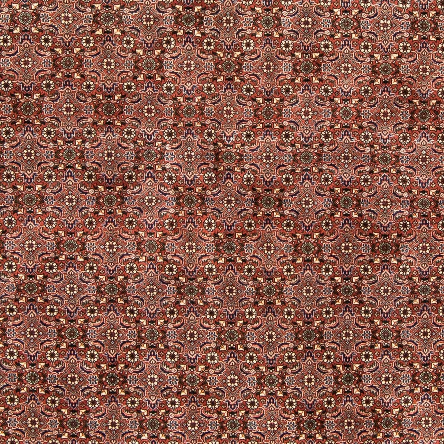 Tapis persan - Bidjar - 235 x 167 cm - rouge clair