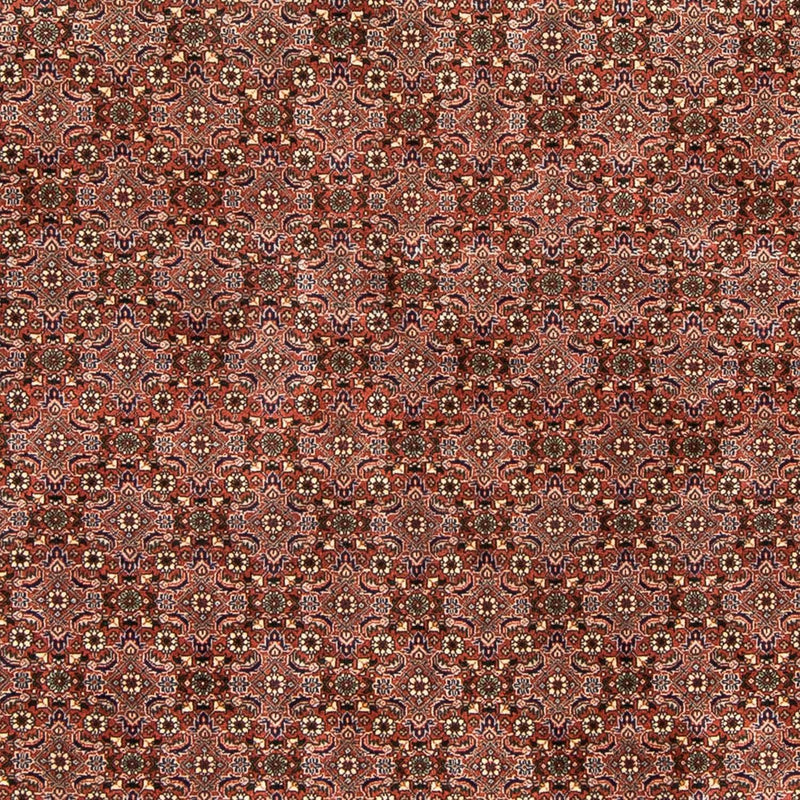 Tapis persan - Bidjar - 235 x 167 cm - rouge clair