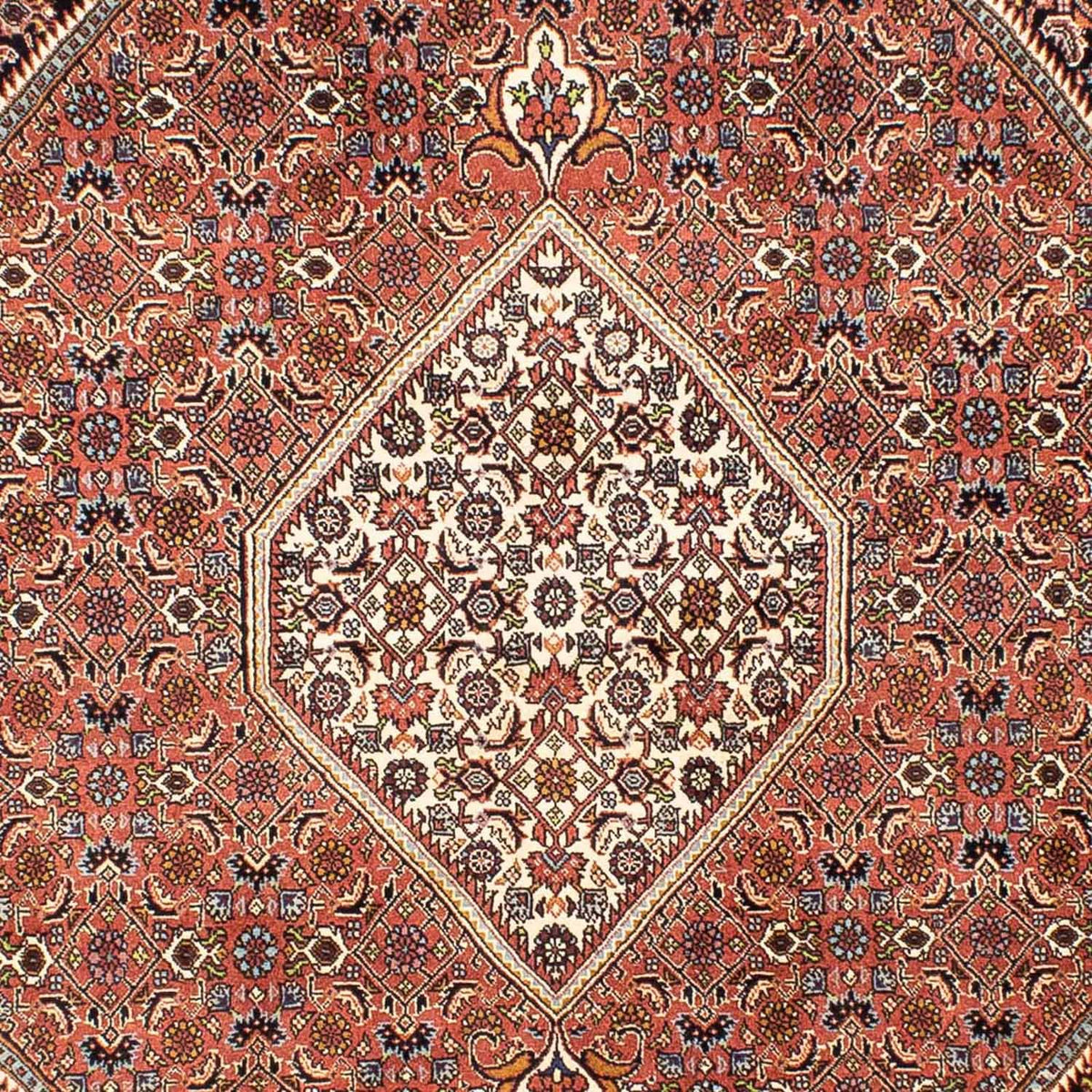 Tapis persan - Bidjar - 242 x 165 cm - rouge clair