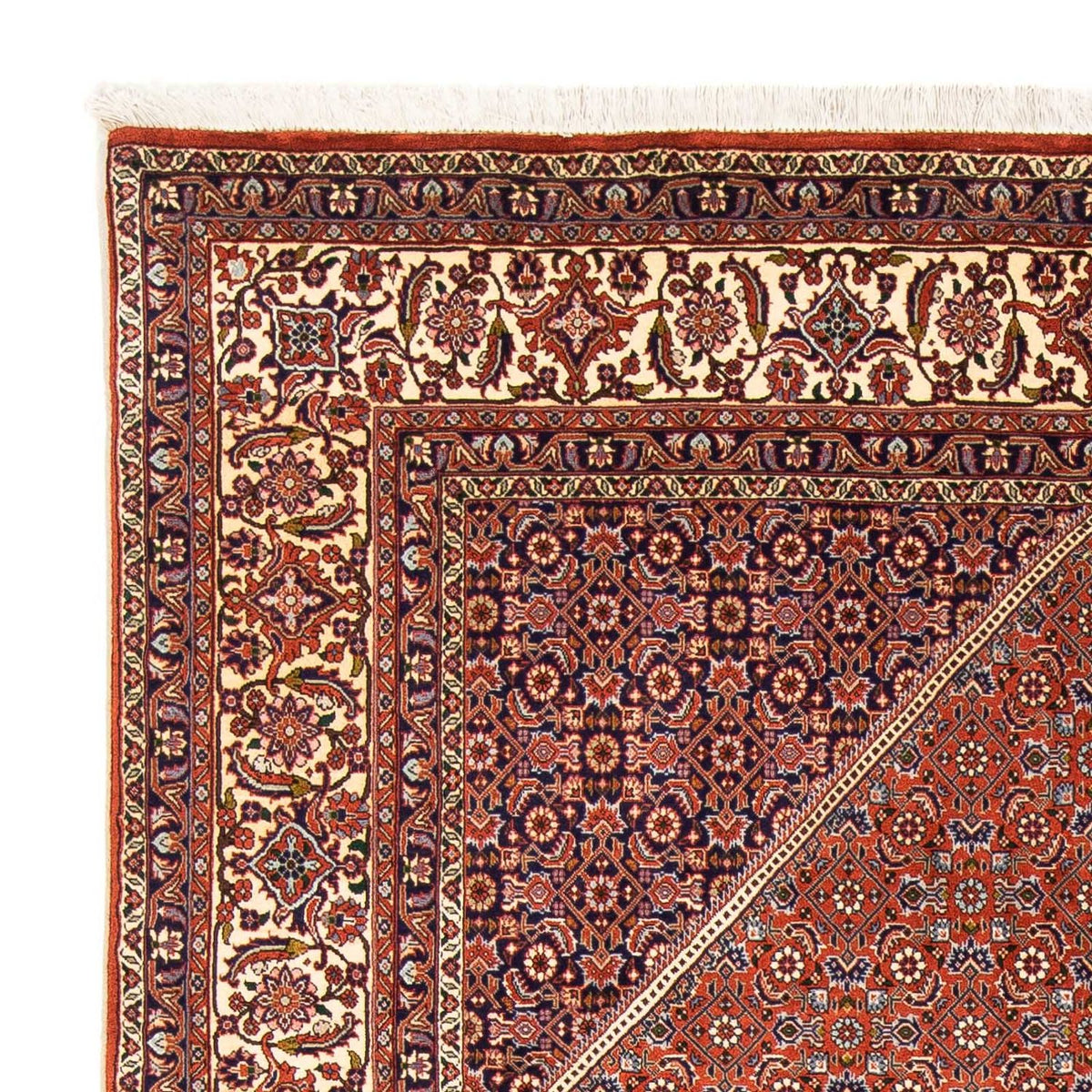 Tapis persan - Bidjar - 245 x 167 cm - marron clair