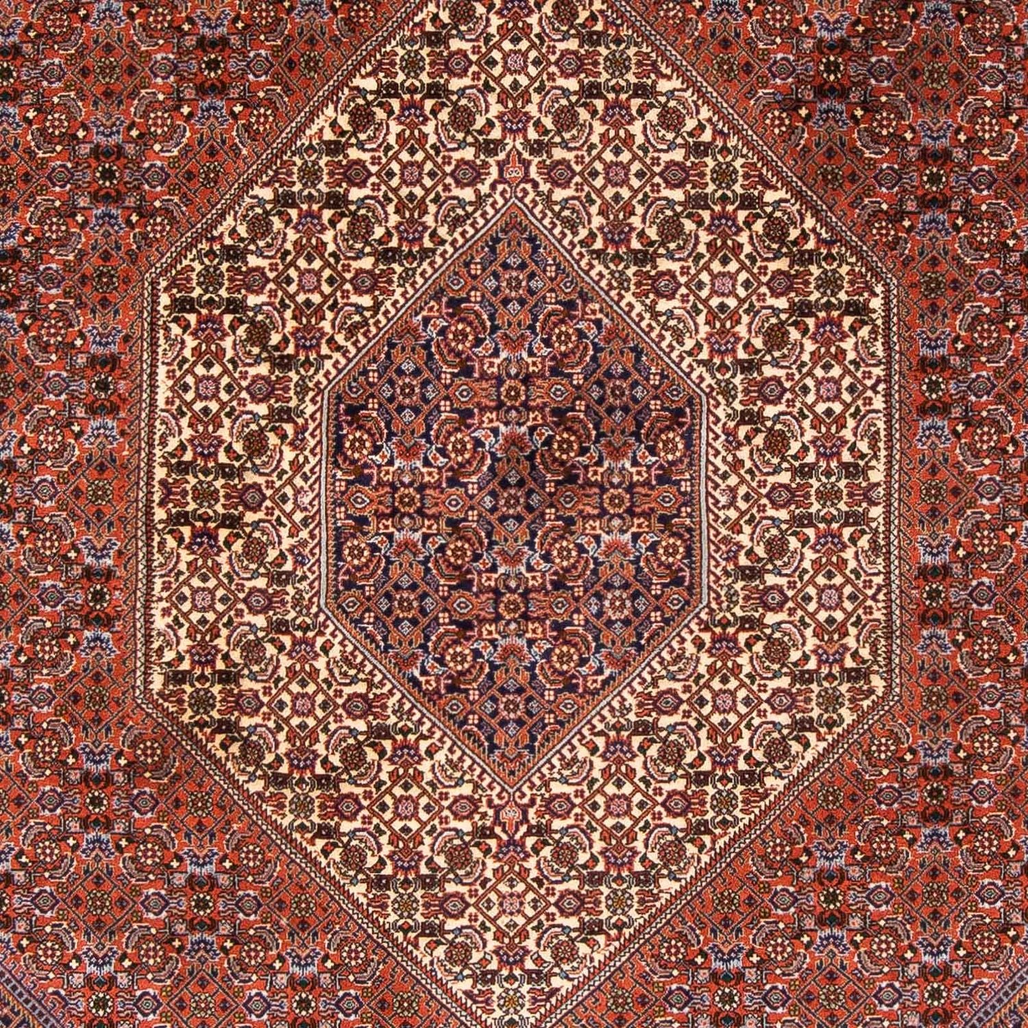 Tapis persan - Bidjar - 230 x 166 cm - marron
