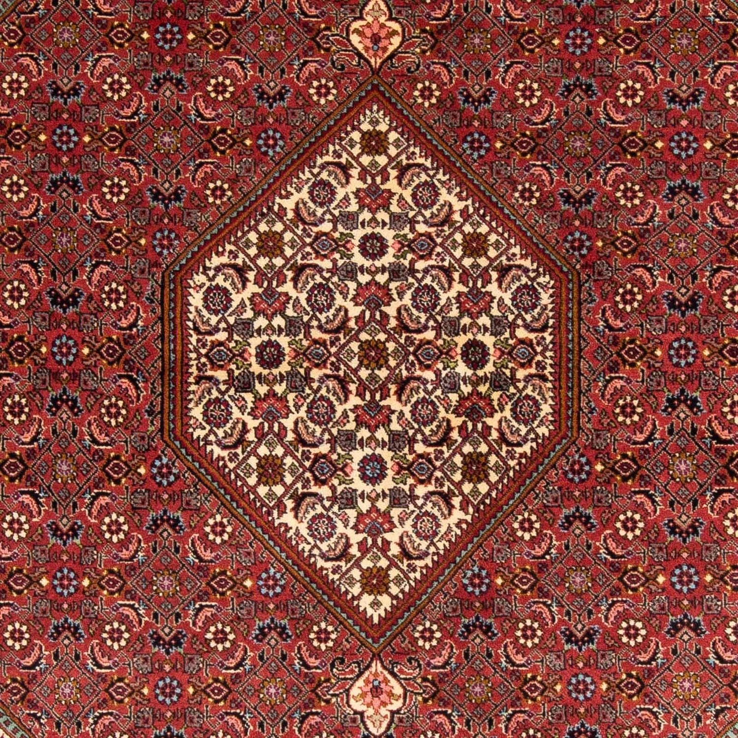 Tapis persan - Bidjar - 242 x 171 cm - marron