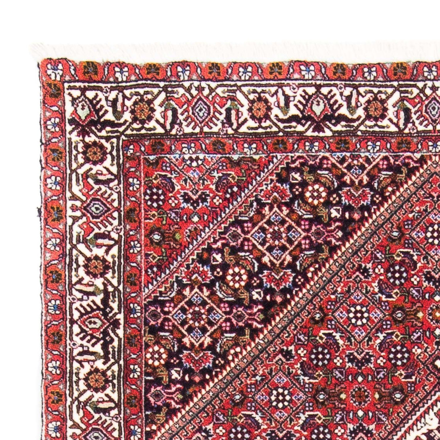 Tapis de Bidjar Tapis 154x90cm - Tapis persan
