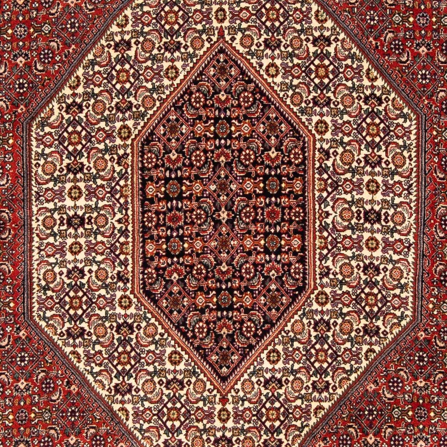 Tapis persan - Bidjar - 244 x 153 cm - rouge foncé