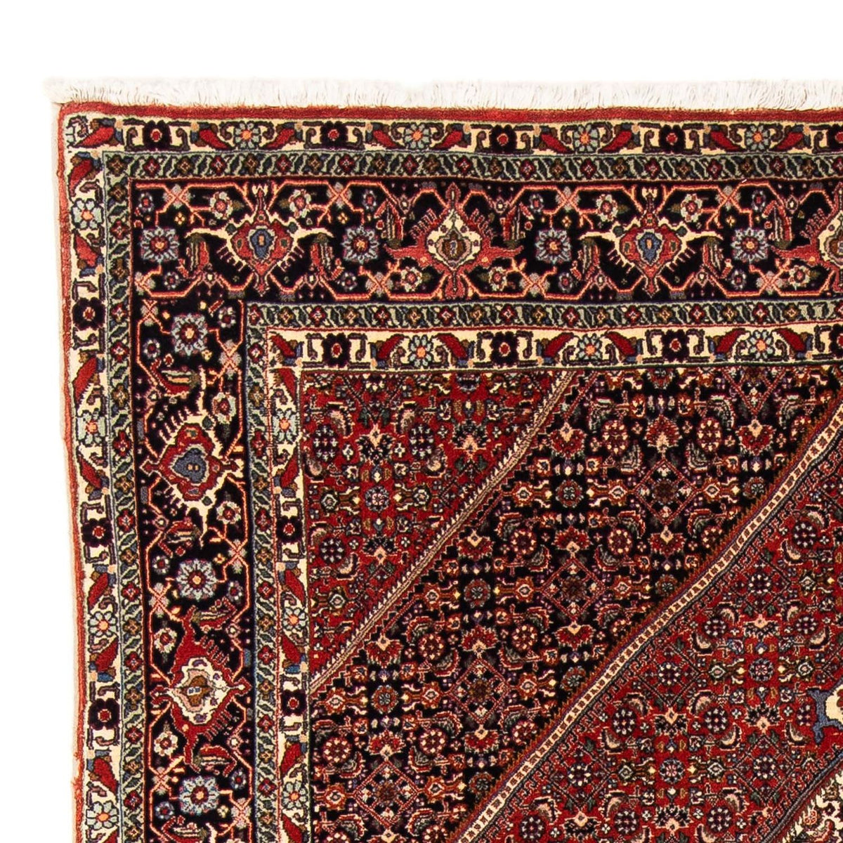 Tapis de Bidjar Tapis 153x244cm - Tapis persan