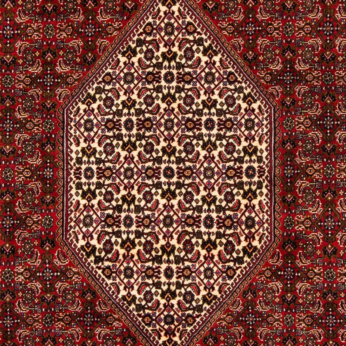 Tapis persan - Bidjar - 263 x 164 cm - rouge foncé