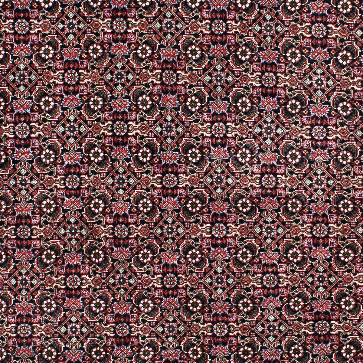 Tapis persan - Bidjar - 207 x 131 cm - multicolore