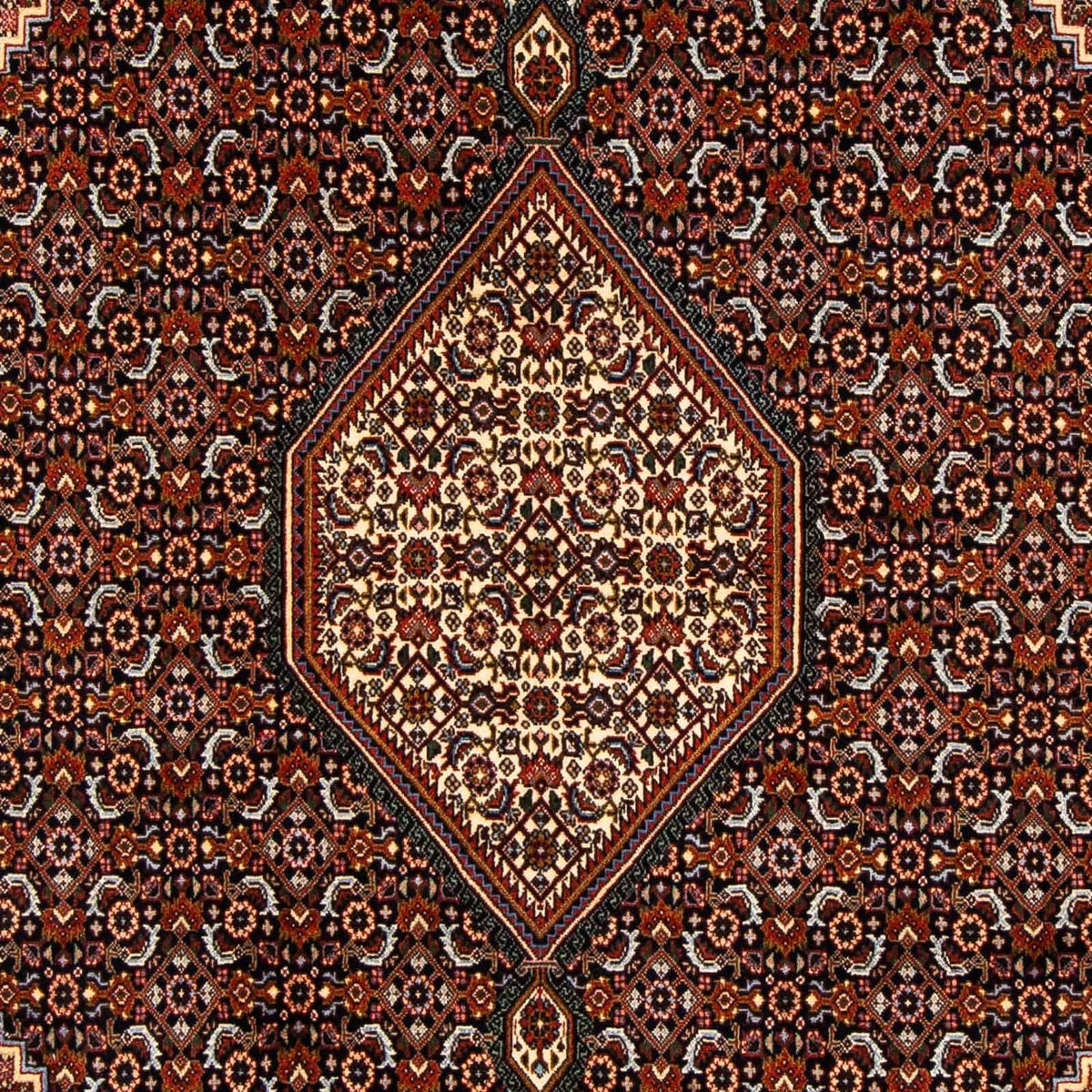 Tapis persan - Bidjar - 270 x 167 cm - marron