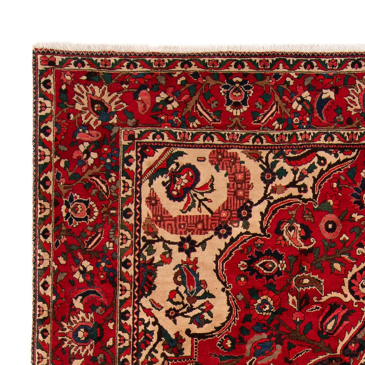 Tapis Bakhtiari Tapis 258x362cm - Tapis persan