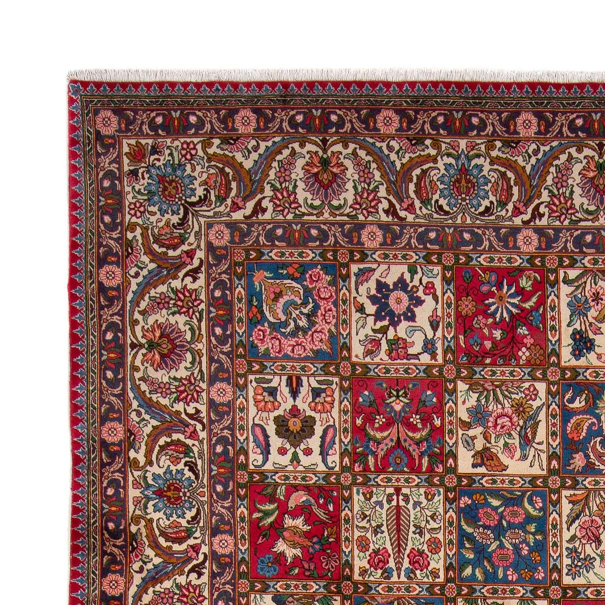 Tapis Bakhtiari Tapis 253x363cm - Tapis persan