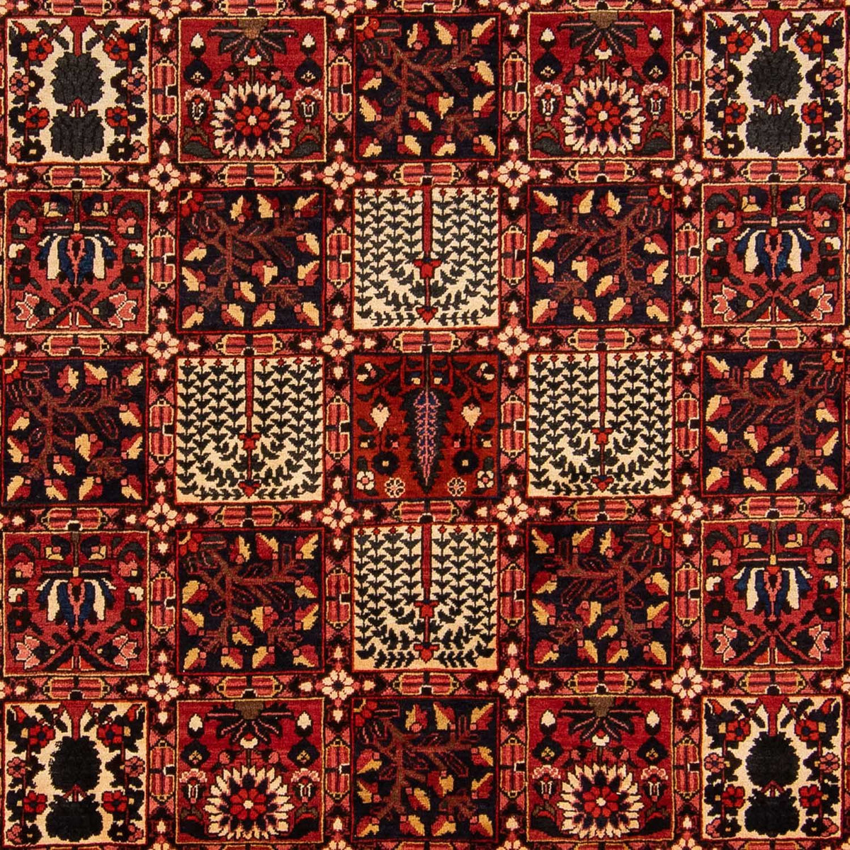 Tapis persan - Nomadic - 365 x 265 cm - marron