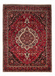 Tapis Bakhtiari Tapis 265x365cm - Tapis persan