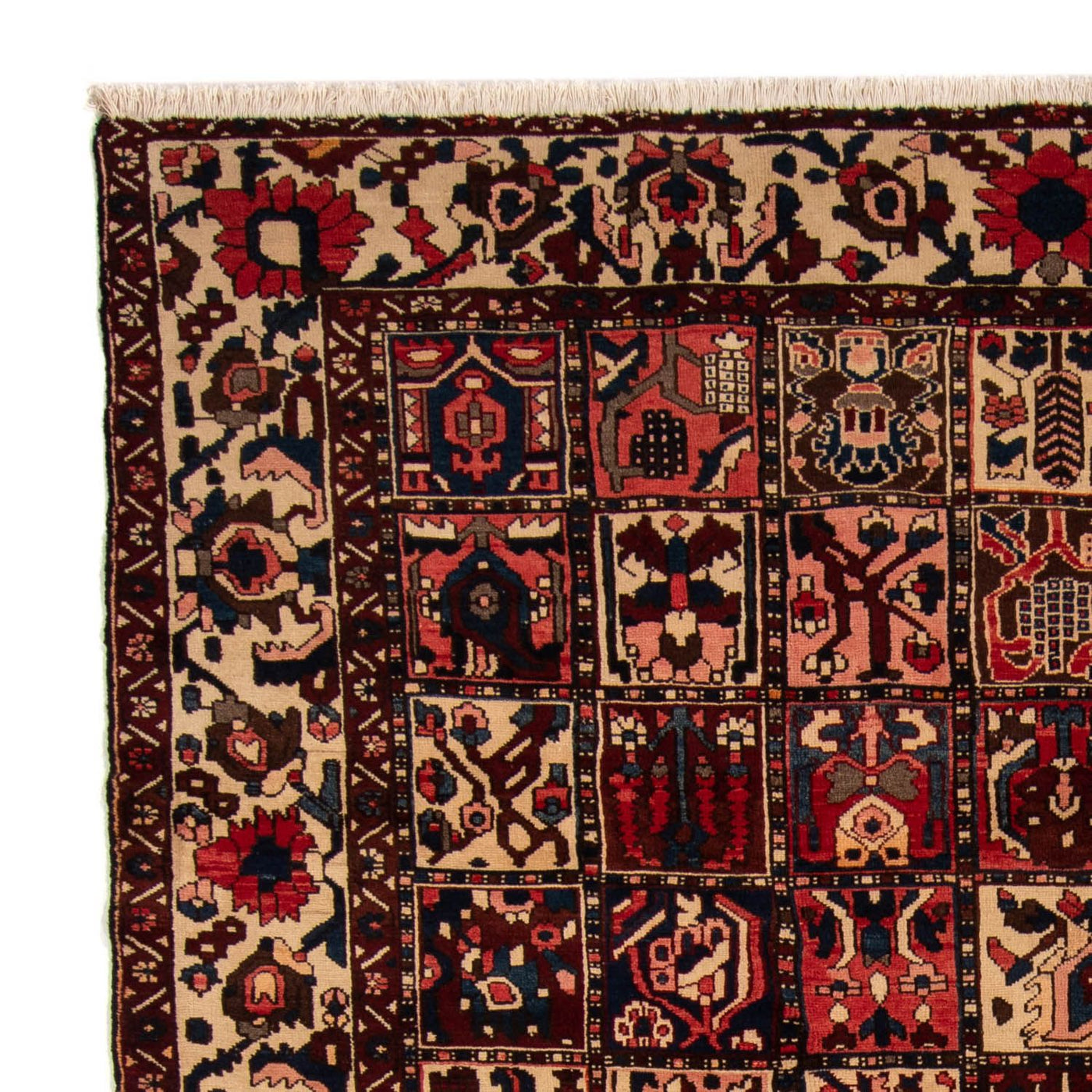 Tapis Bakhtiari Tapis 337x258cm - Tapis persan