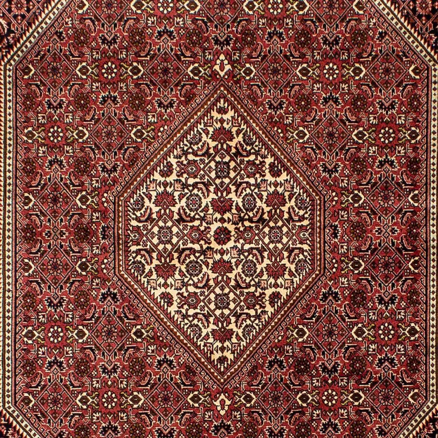 Tapis persan - Bidjar - 243 x 167 cm - rouge foncé