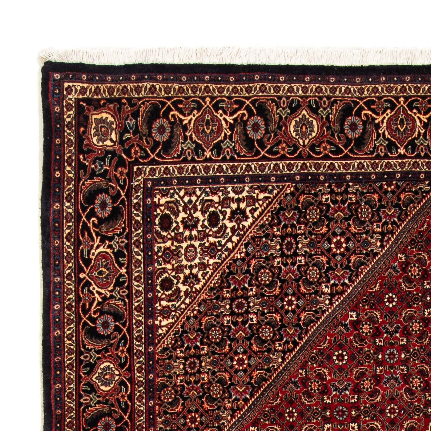 Tapis de Bidjar Tapis 261x164cm - Tapis persan