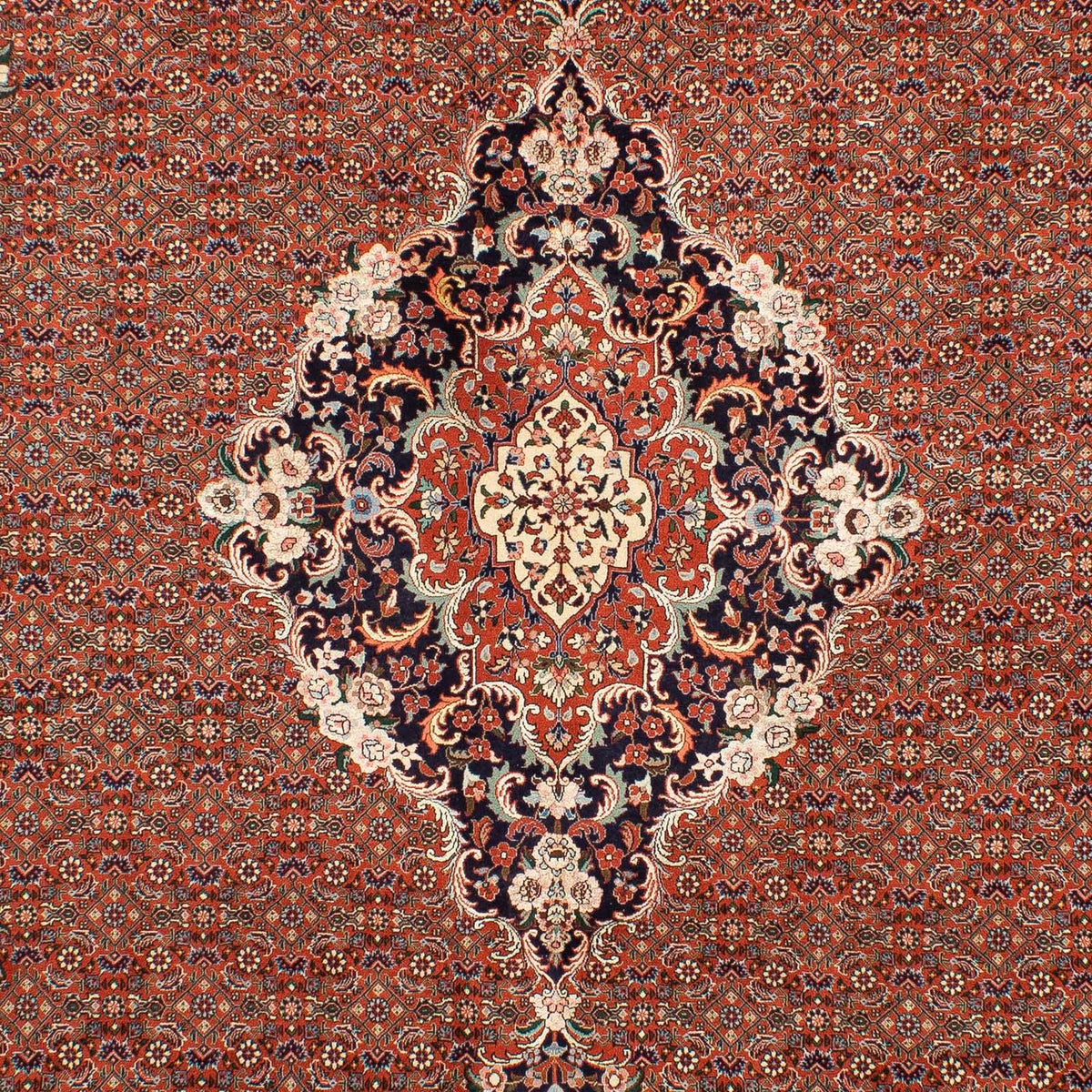 Tapis persan - Bidjar - 288 x 206 cm - rouille