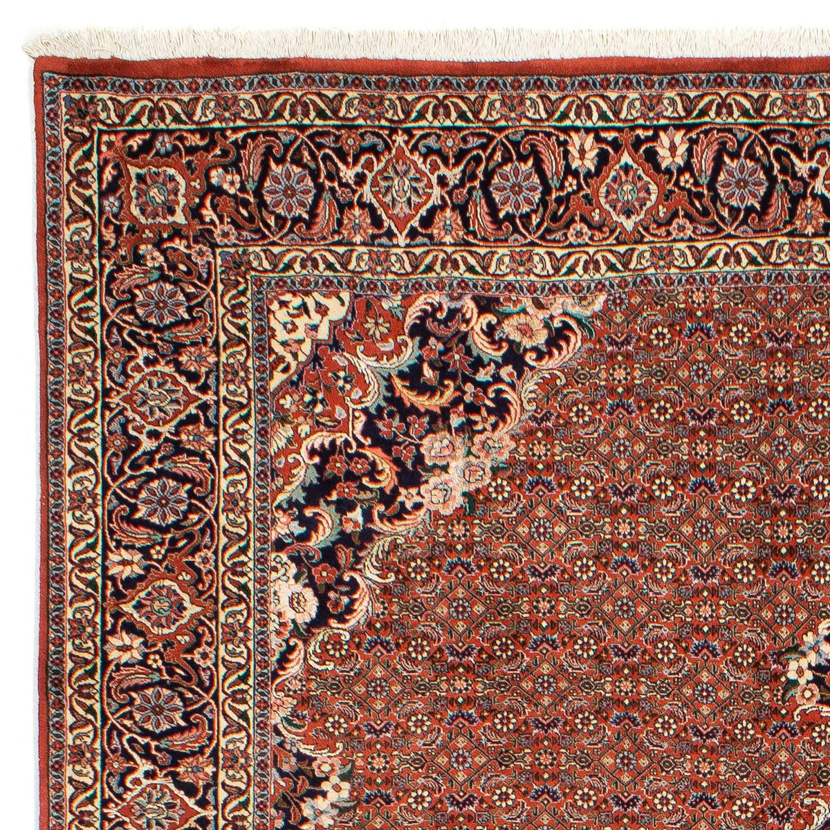 Tapis de Bidjar Tapis 206x288cm - Tapis persan